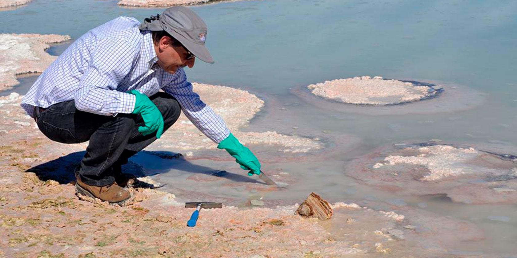 Hallazgo de estromatolitos vivos en el Salar de Atacama revela los misterios de la biodiversidad de esta zona